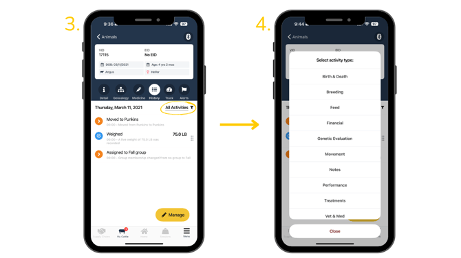 4th Section Animal Activities Search and filter activity history-1