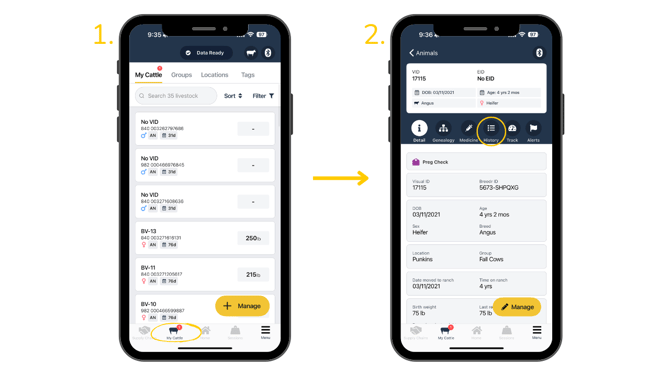 4th Section Animal Activities Search and filter activity history