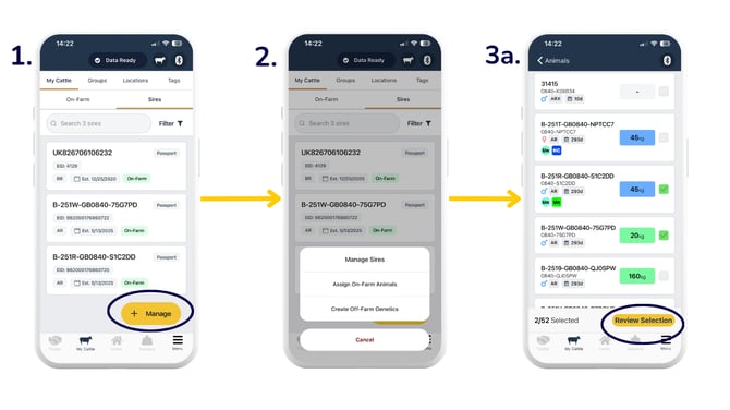 6-Mar-02-2026-02-29-22-4567-PM