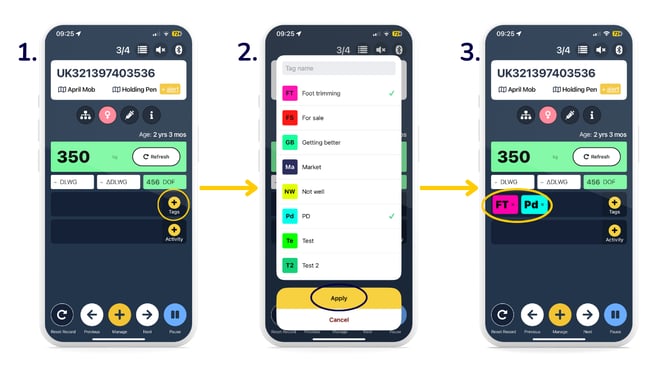 Add tag in quick weigh-1