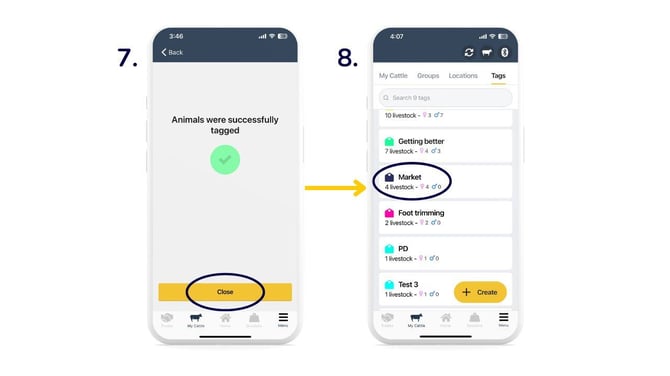 Add tags to animals