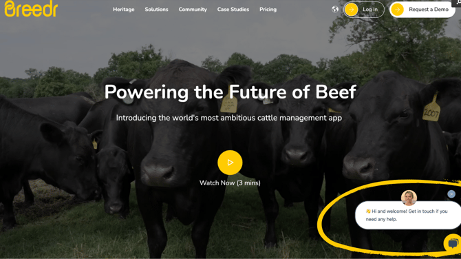 Brinns Copy of How to log an activity  (YouTube Thumbnail)-4