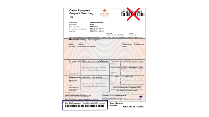 Copy of Add animalscan passport