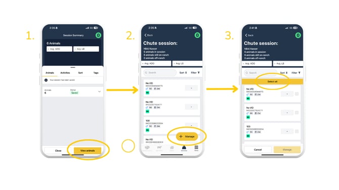 Copy of Navigate to Quick Scan (4)