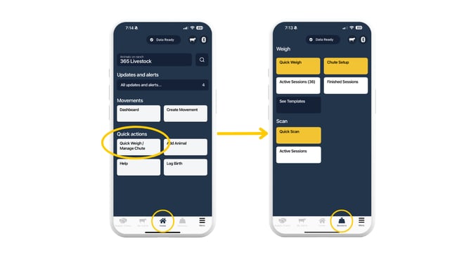 Copy of Navigate to Quick Scan (6)