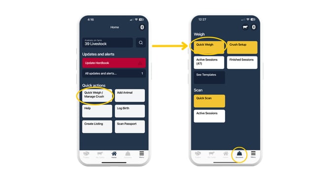 Copy of Quick weigh how to navigate there