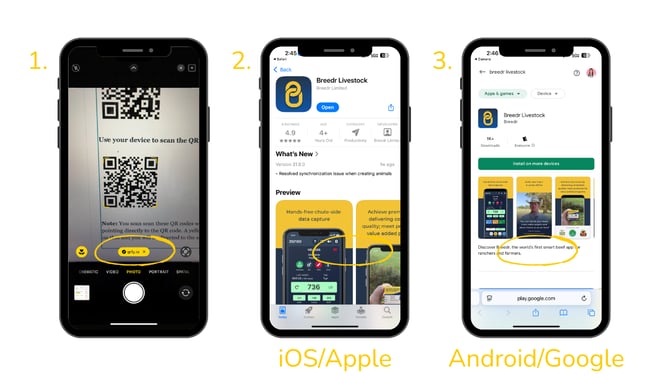 Guides Templates (1)-1