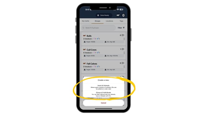 Guides Templates (1)