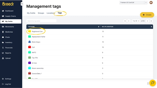 Guides Templates (10)