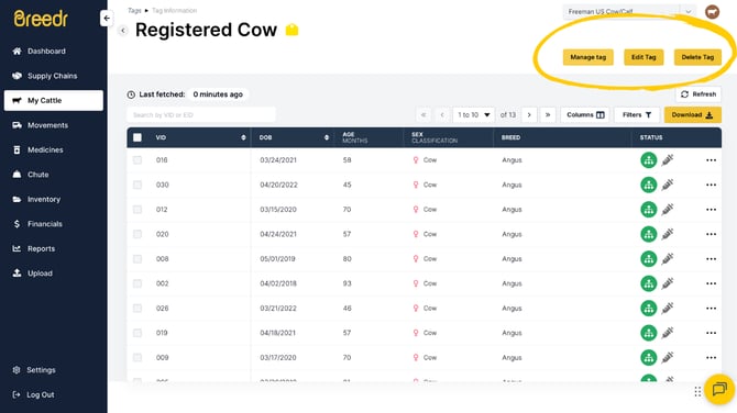 Guides Templates (11)