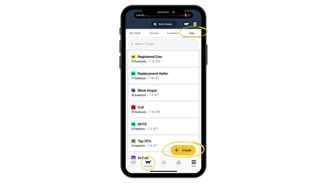 Guides Templates (13)