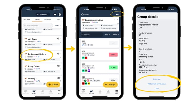 Guides Templates (2)