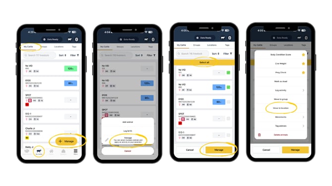 Guides Templates (24)-1