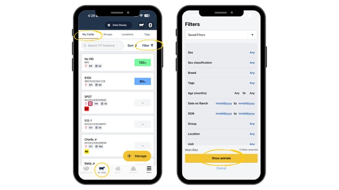 Guides Templates (24)