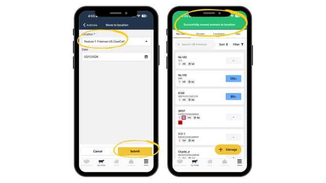 Guides Templates (25)-1