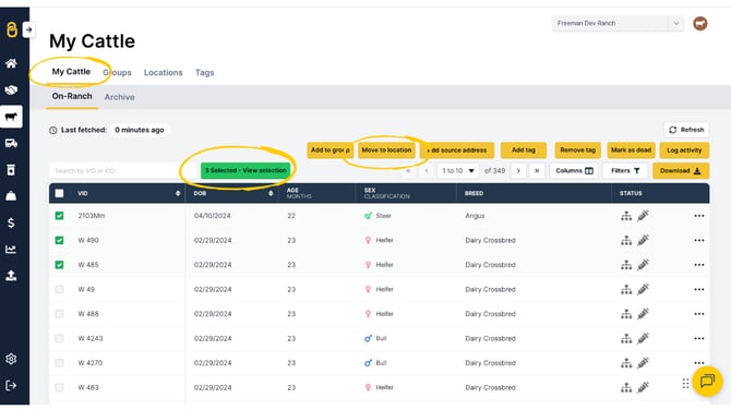 Guides Templates (26)-1