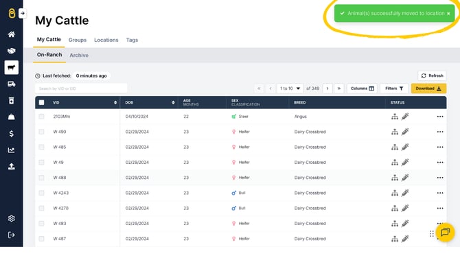 Guides Templates (29)