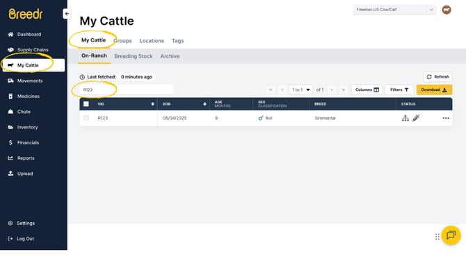 Guides Templates (30)