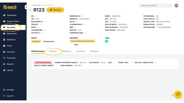 Guides Templates (31)