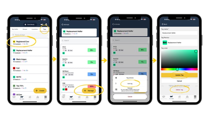 Guides Templates (9)