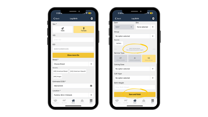 Log a birth - mobile (1)