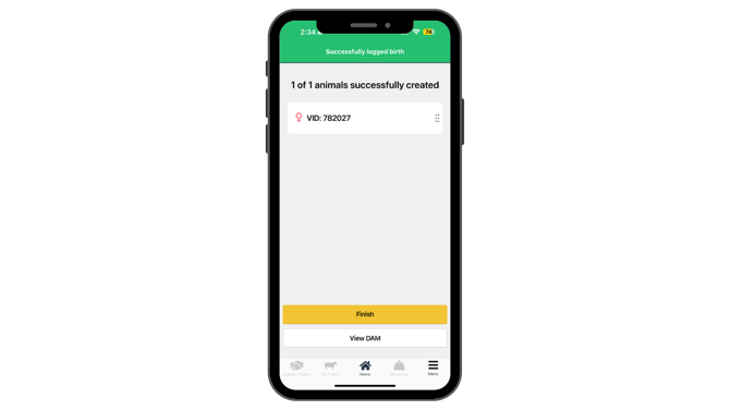 Log a birth - mobile (2)