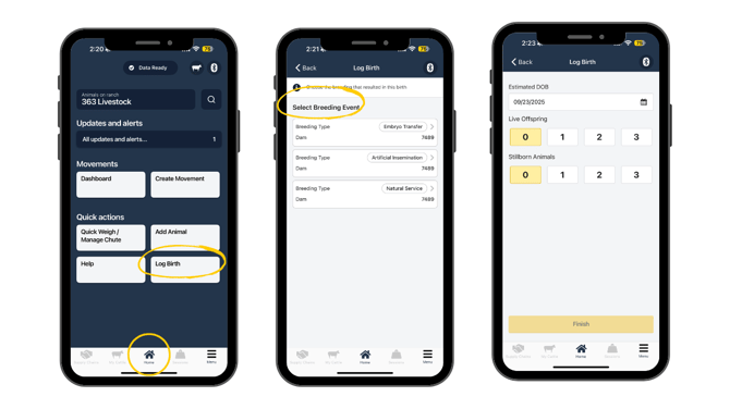 Log a birth - mobile