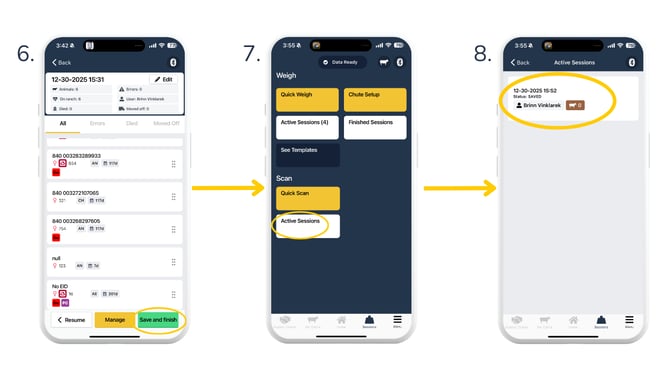 Quick Scan template2