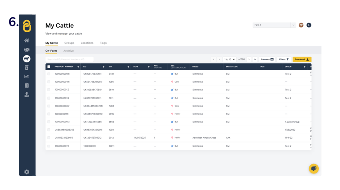 csv upload (5)-1