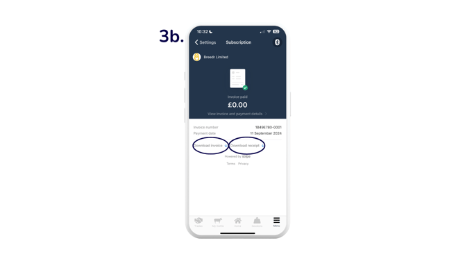 download invoice